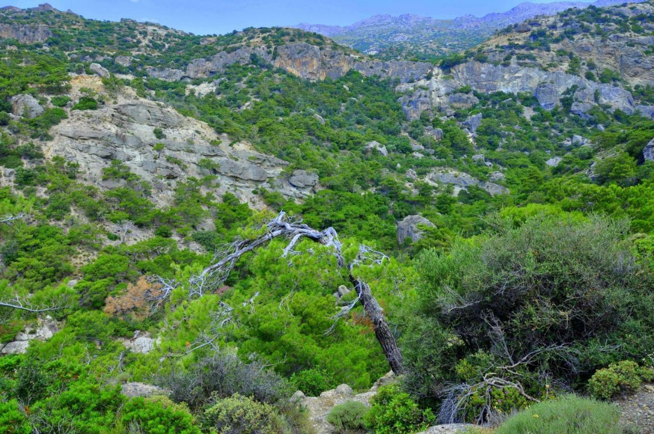 Dream Residence Agios Ioannis  Exterior foto